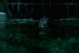 Shape of Water: Das Flstern des 2017